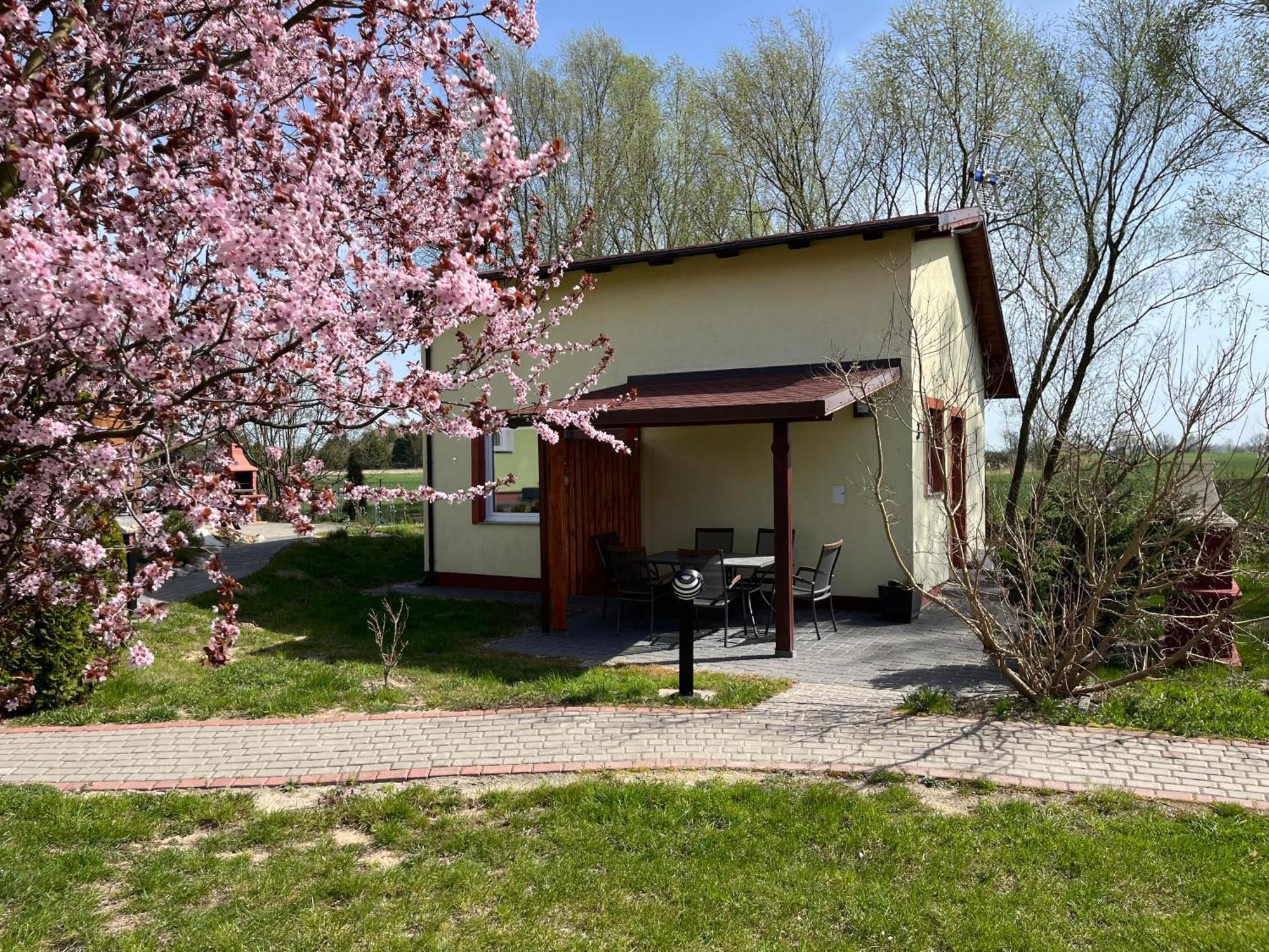 Domki I Pokoje Goscinne A A Malinowscy Stegna  Exterior foto